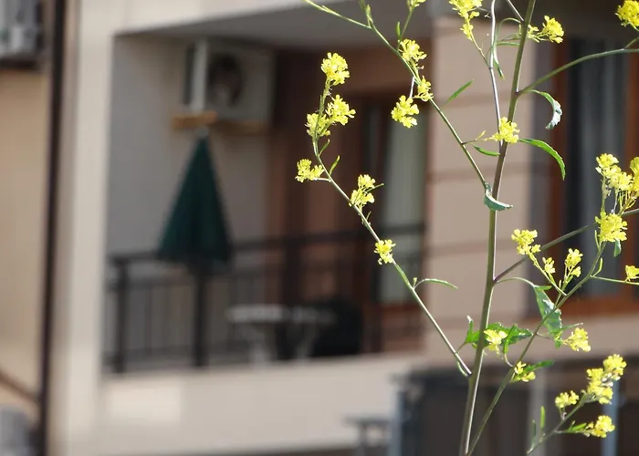 Appartamento Lora Boutique *