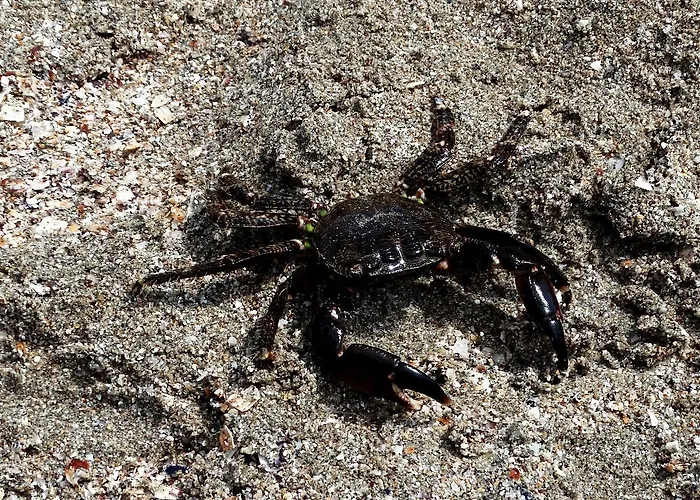 Lora Boutique Appartamento