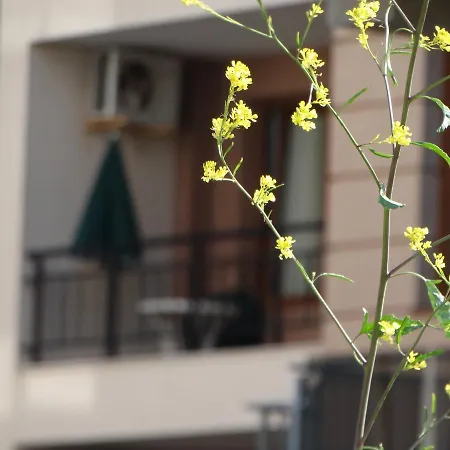 Apartment Lora Boutique *