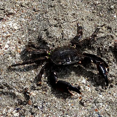 Lora Boutique アパート